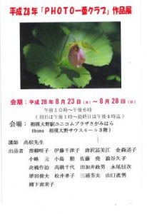 図1